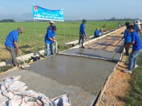 Kế hoạch triển khai xây dựng Bê tông hóa giao thông nông thôn năm 2024 trên địa bàn tỉnh Bình Định